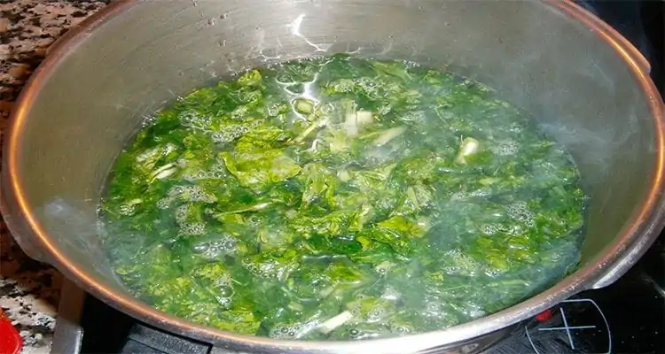 cocer berzas en olla rapida